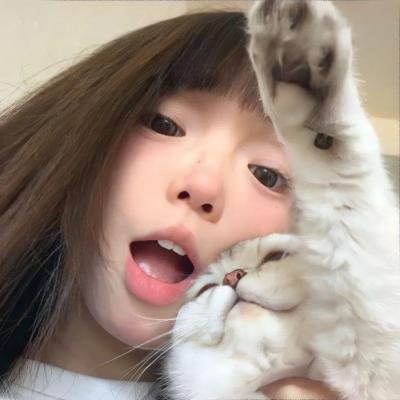 明月守护者 海报